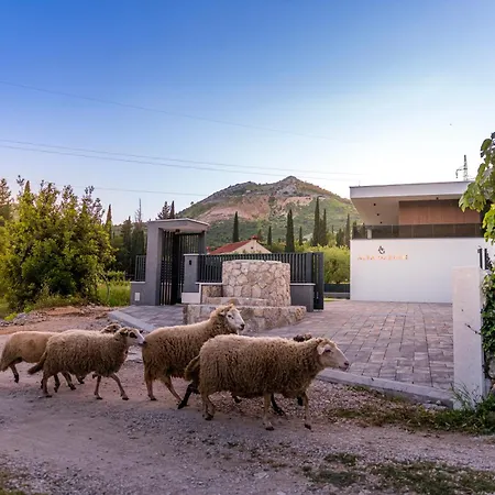 Alba Garden מליני